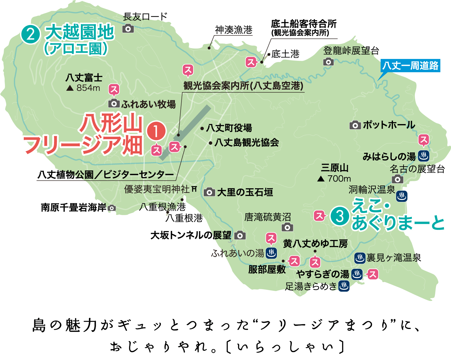 イベント八丈島MAP,島の魅力がギュッとつまった“フリージアまつり”に、おじゃりやれ。 〔いらっしゃい〕