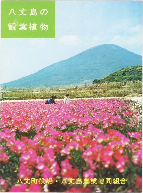 「八丈島の観葉植物」